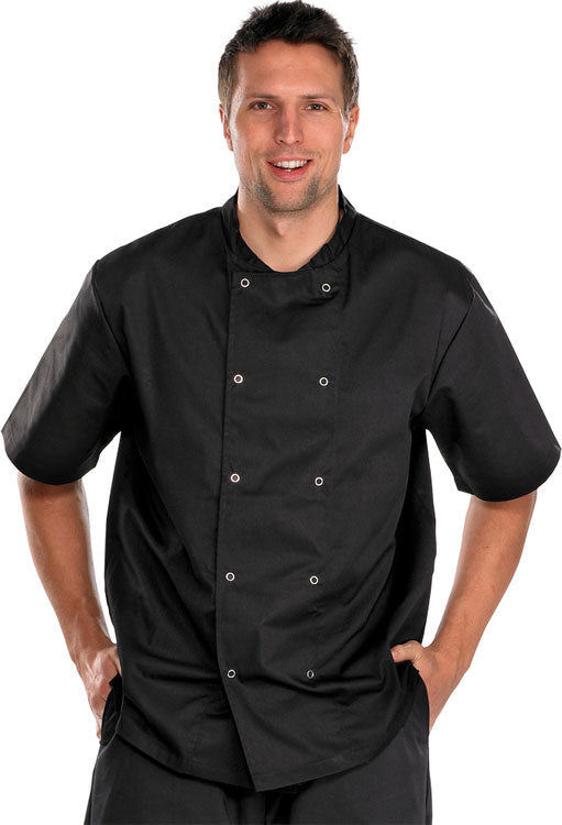 CHEFS JACKET  SHORT SLEEVE BLACK