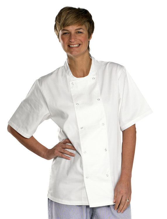 CHEFS JACKET  SHORT SLEEVE WHITE